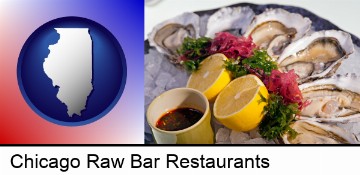 raw bar oysters in Chicago, IL