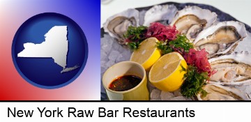 raw bar oysters in New York, NY