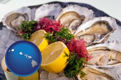 hawaii map icon and raw bar oysters