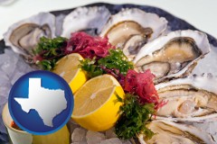 texas map icon and raw bar oysters